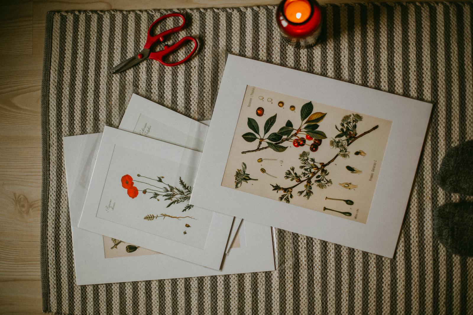 Best Print on Demand Products to Sell in 2026 (Top Ideas That Actually make Money)